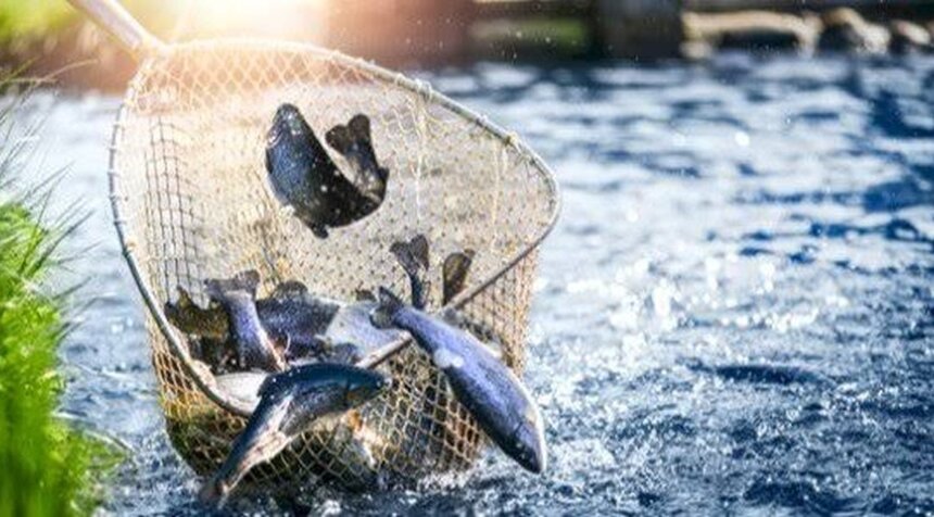 1e32b3e7fe915d4d8d9c9dfe10af6b16s