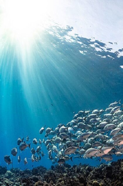 20200609_1591733821-192-s