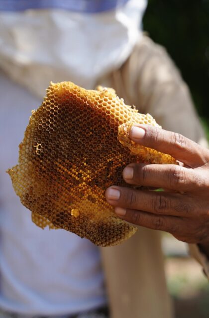 img_20240523_110036s