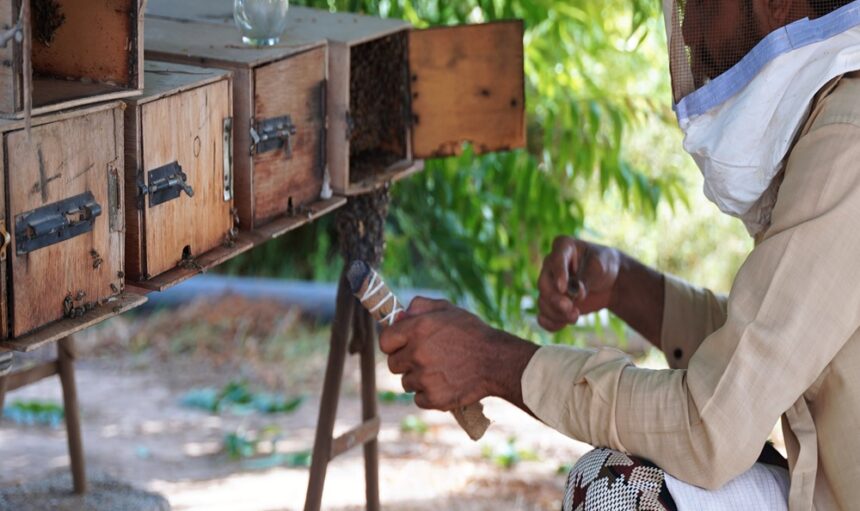 img_20240523_115300s