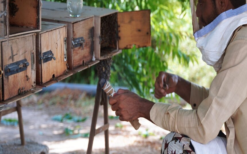 img_20240523_115300s