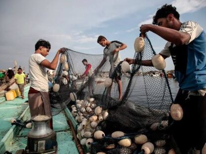 4332eac78536b70f6a9f673a68b8ef87